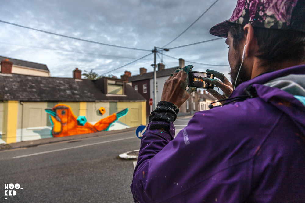 Street Art Mural In Ireland by Canadian street artist Birdo. Photo ©Hookedblog