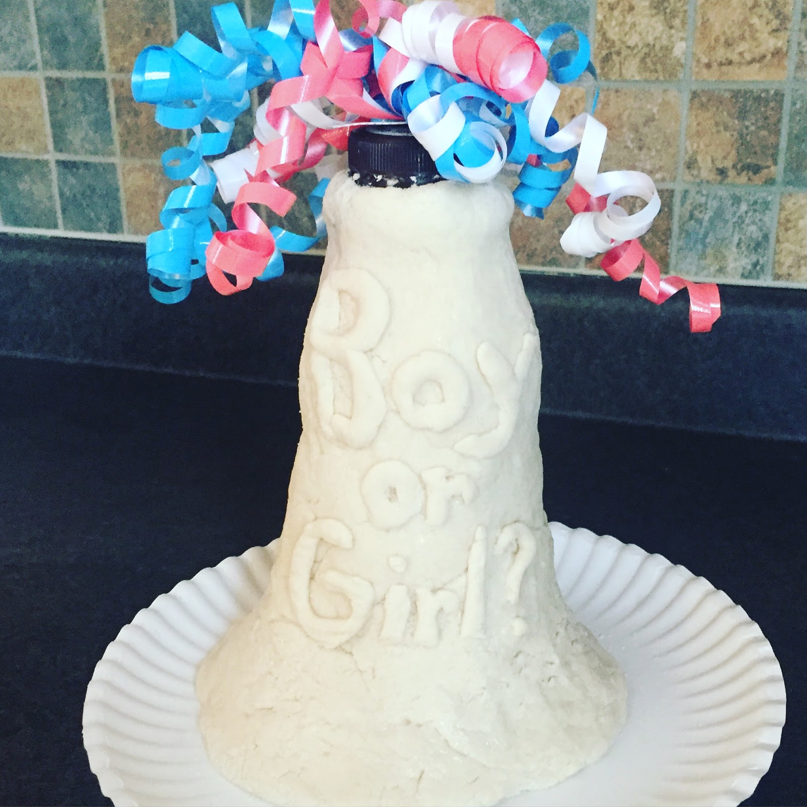 The Stay At Home Zookeeper Volcano Gender Reveal!