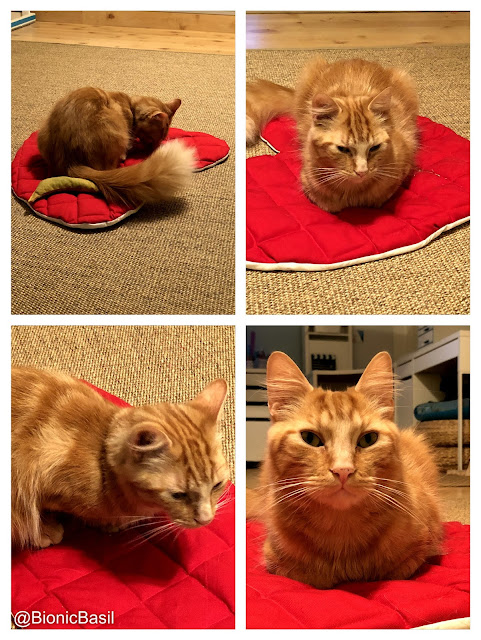 Crafting with Cats at BBHQ ©BionicBasil® Sharing the Valentine's Heart Crinkle Mat from 2018