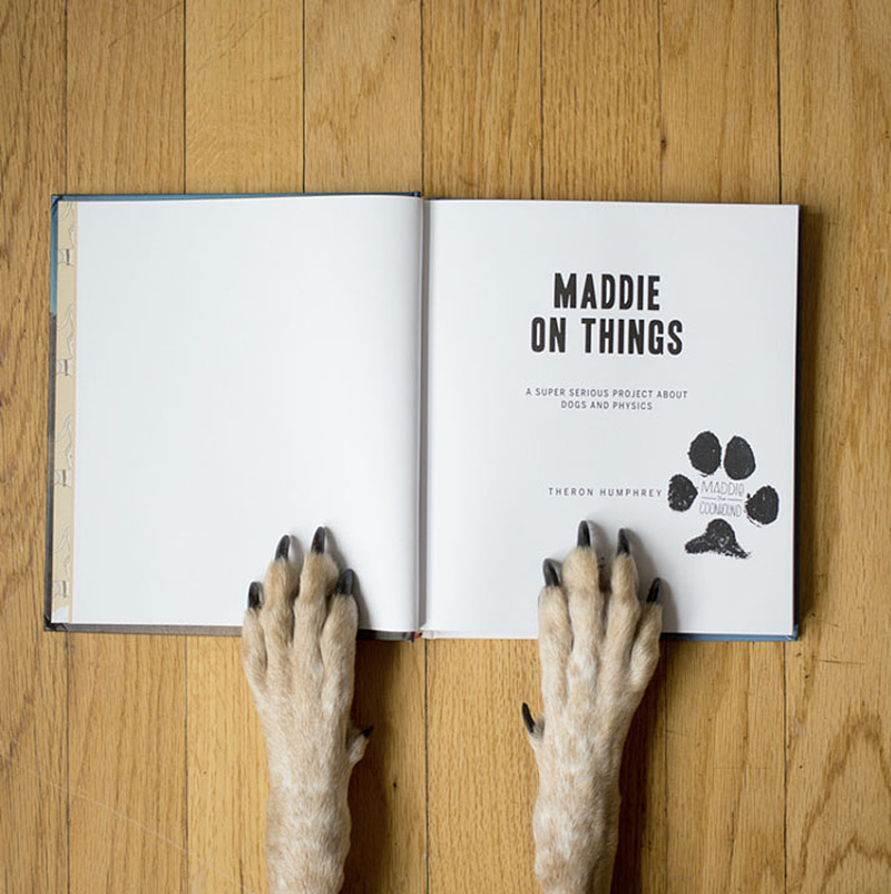 maddie on things, the book
