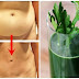 Every Night Before You Go To Bed, Drink This Mixture: You Will Remove Excess Fat and Toxins From the Day Before in 8 Hours!