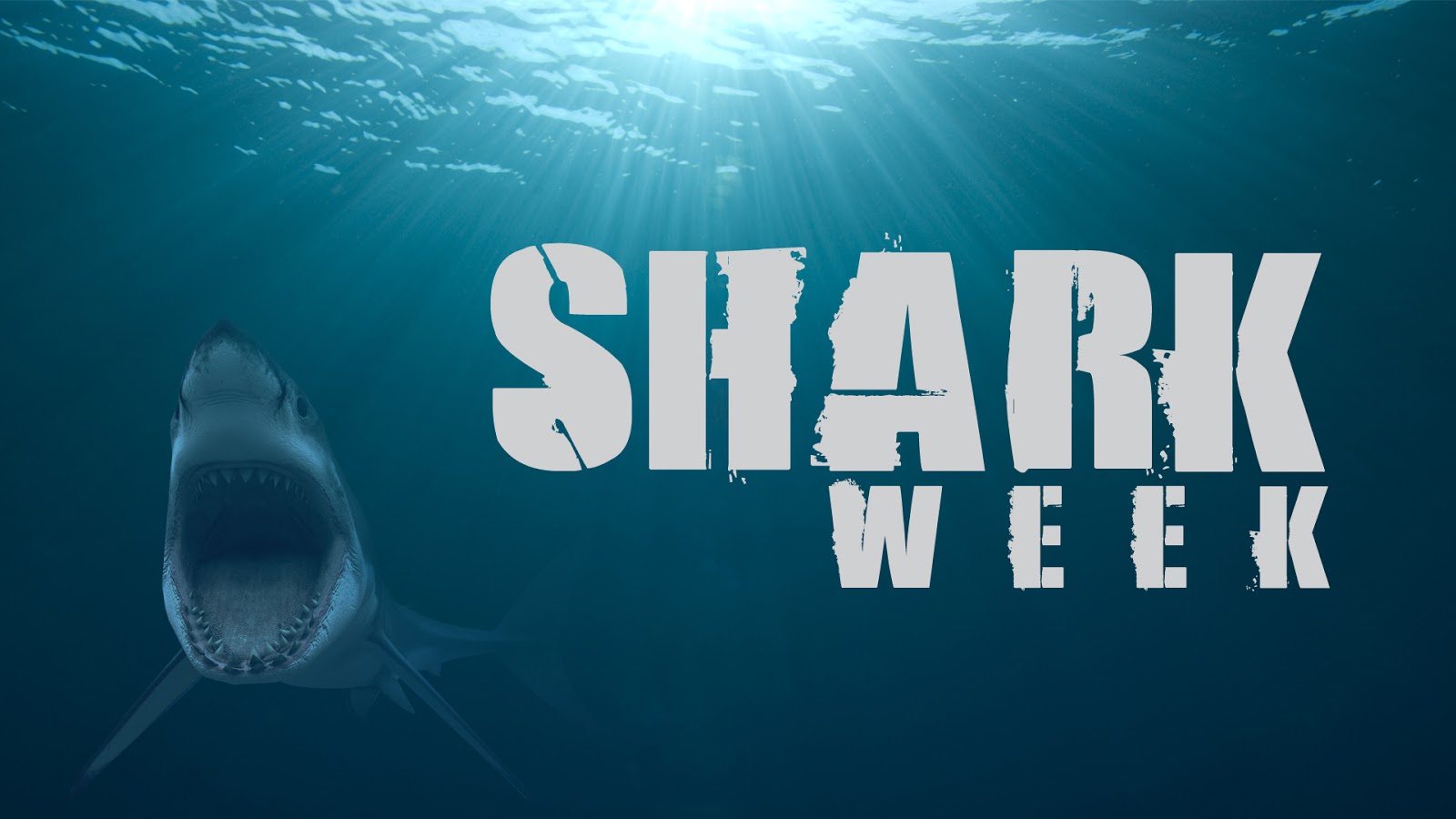 Shark Week is On! - Mind on Movies