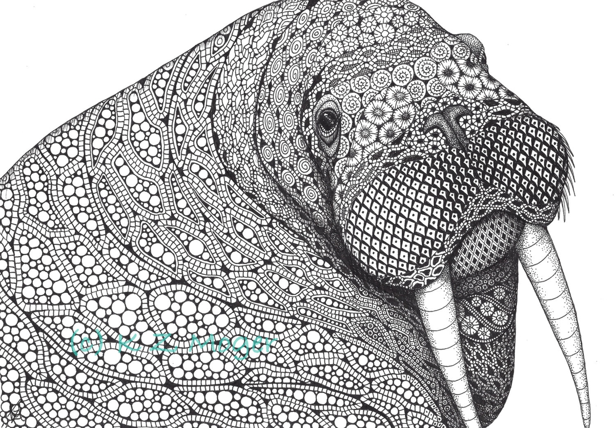 zentangle animals barca fontanacountryinn com zentangle animals