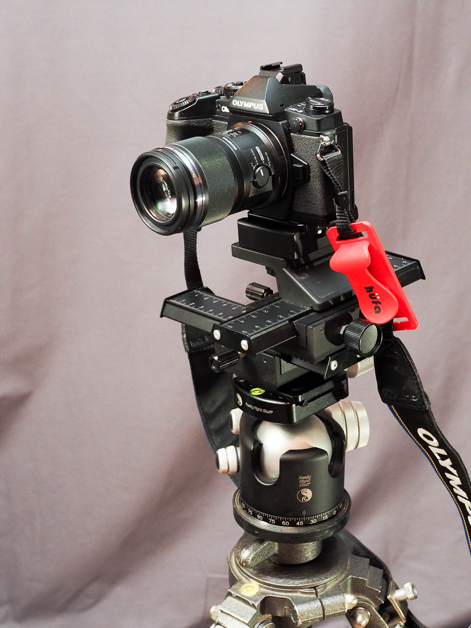 Inexpensive LED lighting for photography & Incamera focus stacking of Olympus EM1