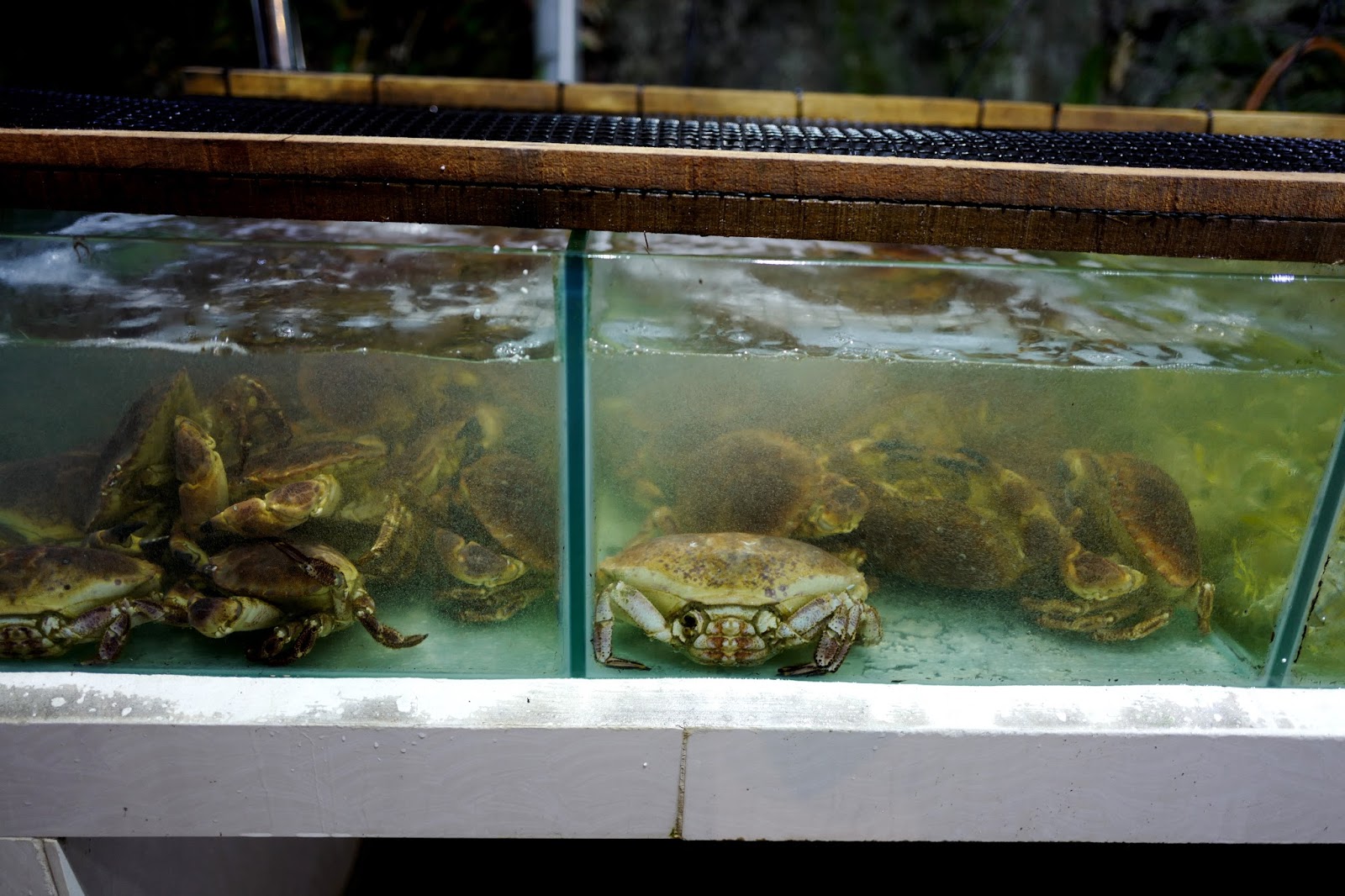 JE TunNel VEG FISH FARM THAI RESTAURANT Hulu Langat, Ampang into a