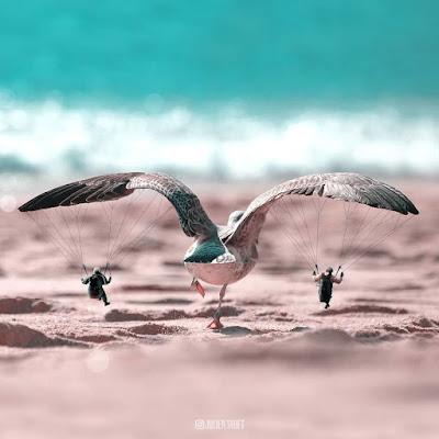 Bcp0Lx0A55R-png__880.jpg