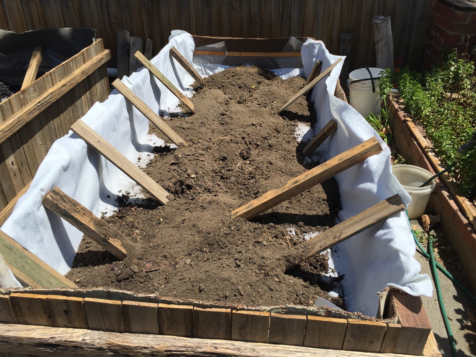 Nedly on his Treadly Wicking Bed Construction