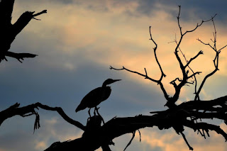 If you are a bird, be an early bird. But if you are a worm, sleep late. |_2.1