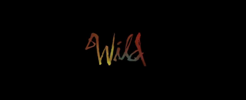 Ulasan film bioskop 2015, Judul Film: Wild Ulasan film bioskop 2015, Judul Film: Wild