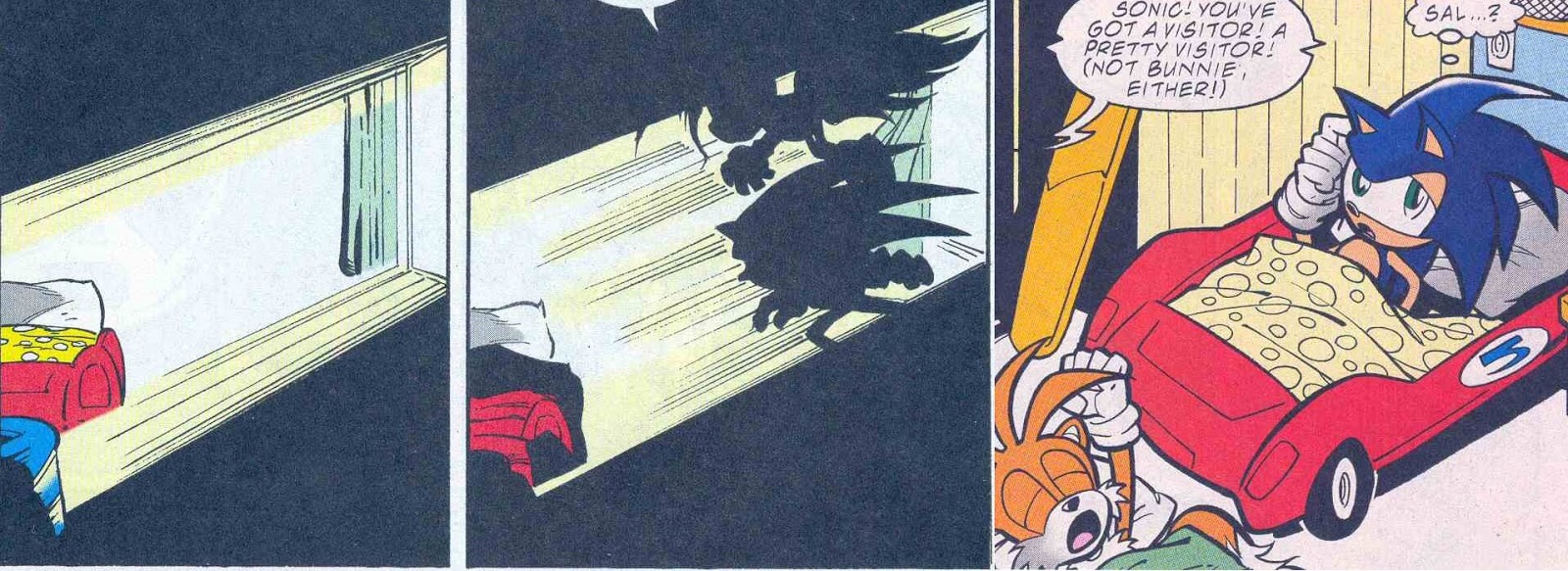 Hedgehogs Can't Swim A Complete History of Sonic the Hedgehog's Race