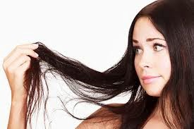 Rambut lepek berminyak berketombe Rambut lepek berminyak berketombe