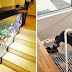 24 Genius Design Ideas To Help You Master Your Home Renovation