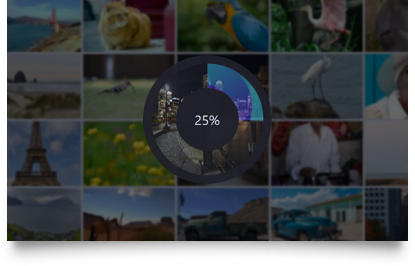 Ashampoo - Photo Optimizer 7 Full version Ashampoo - Photo Optimizer 7 Full version