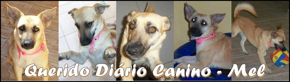 Querido Diário Canino - Mel