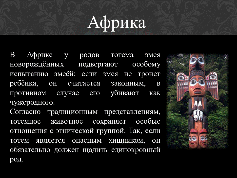 Как работает тотем. Тотем ориед. Как работает тотем. Тотемное животное. 15.