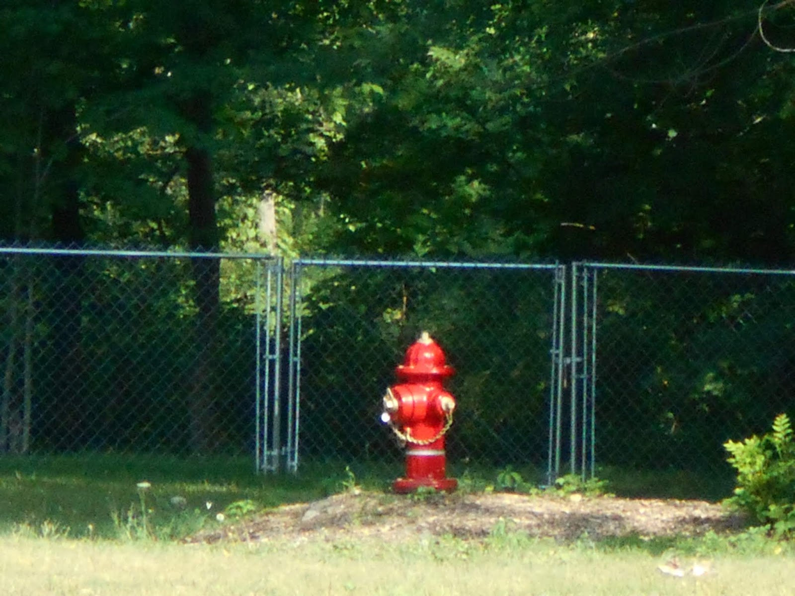 New York State of Mind SHORTSVILLE, NY DOG PARK