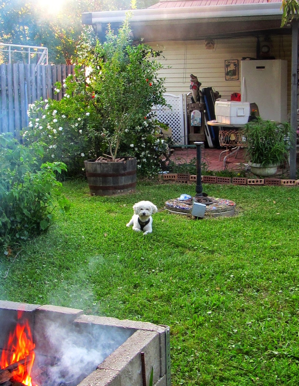 The end of a old garden era 149