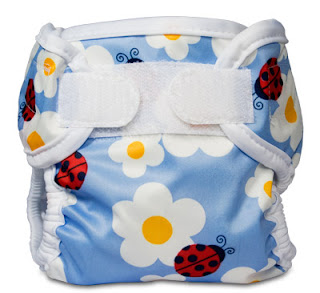 bumswwladybug.jpg
