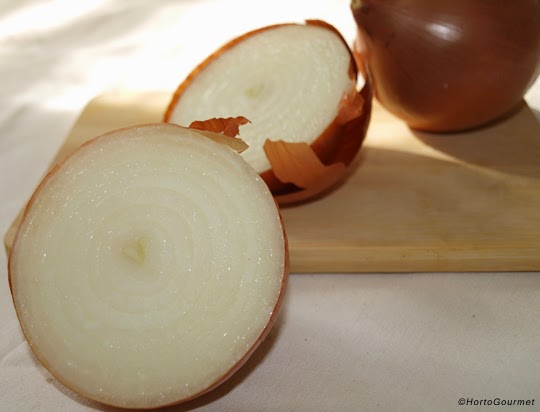 Cebollas HortoGourmet