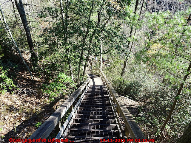 Gorge Floor Hike in Tallulah Falls