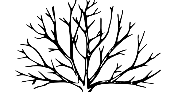 Making Math Visual: Desmos Animation 101: Part 2