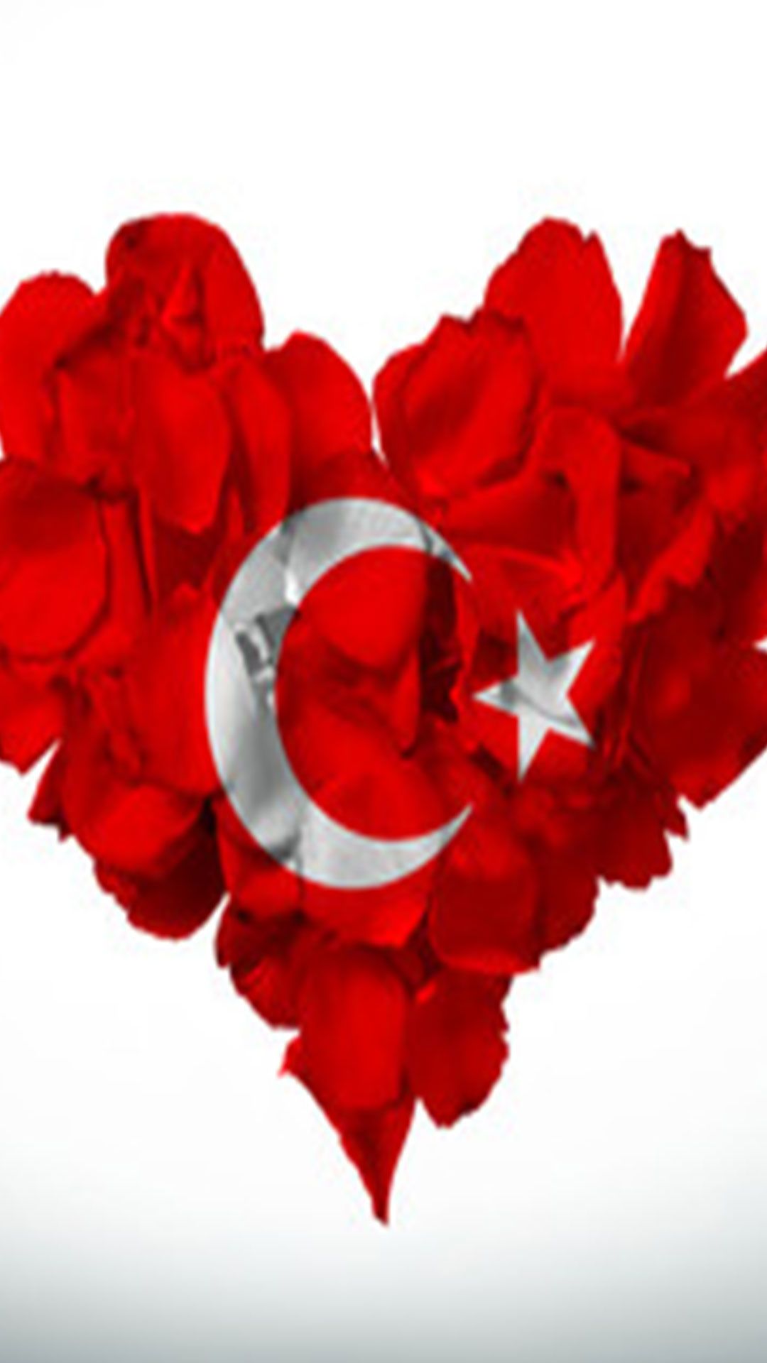 Kalpli turk bayragi 6