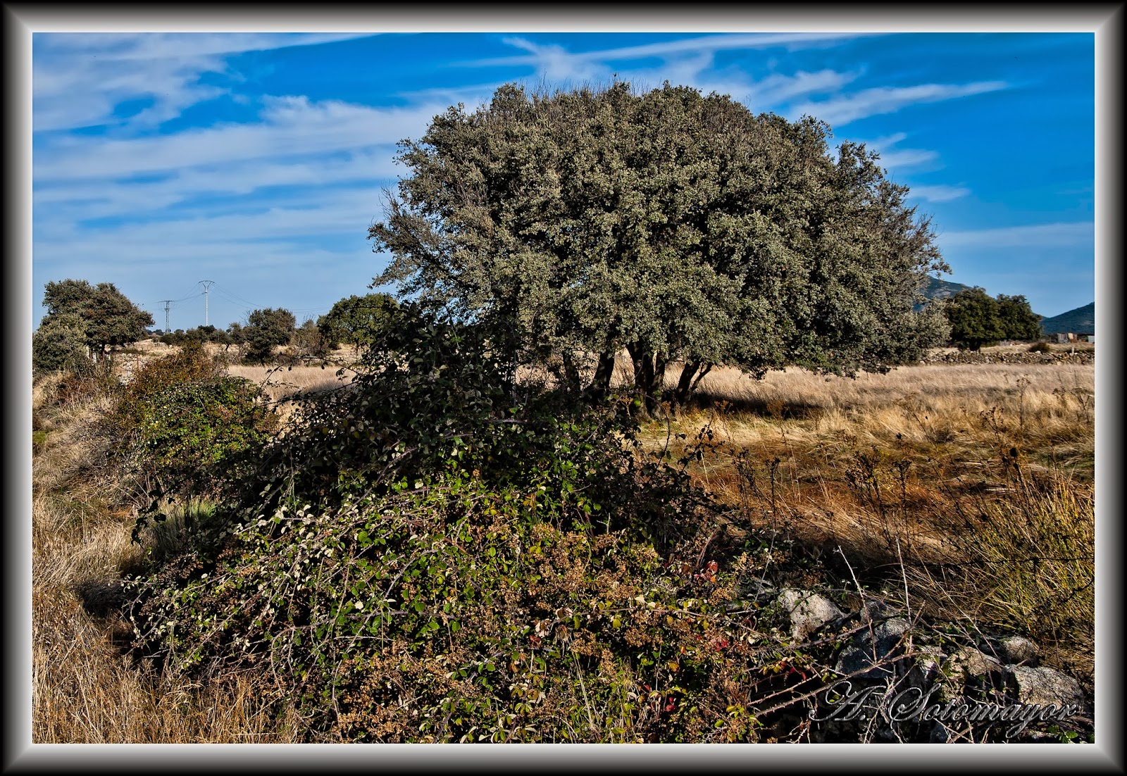 Ángel Sotomayor Rodríguez. Montes de Toledo San Pablo de los Montes