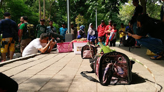 iguana lovers surabaya hamn 2018