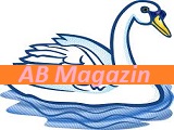 Göbek Bağı Ne Zaman Düşer?