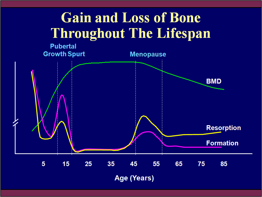 Where Are You On the Curve of Bone Gain and Loss Through The A Women's