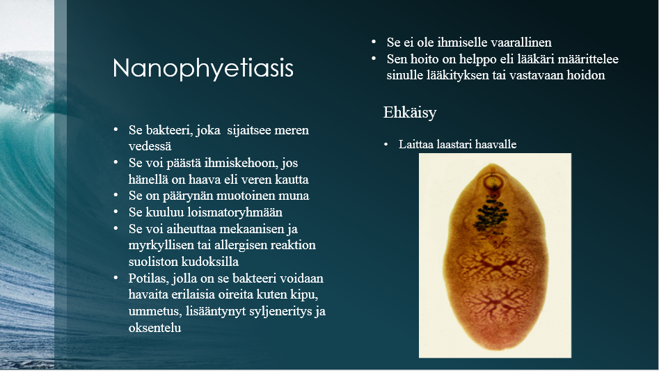 iso valkoinen hirviö munaa
