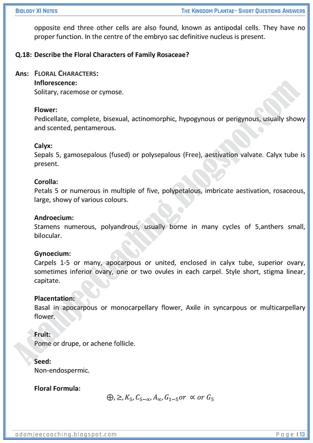 kingdom-plantae-short-question-answers-biology-11th