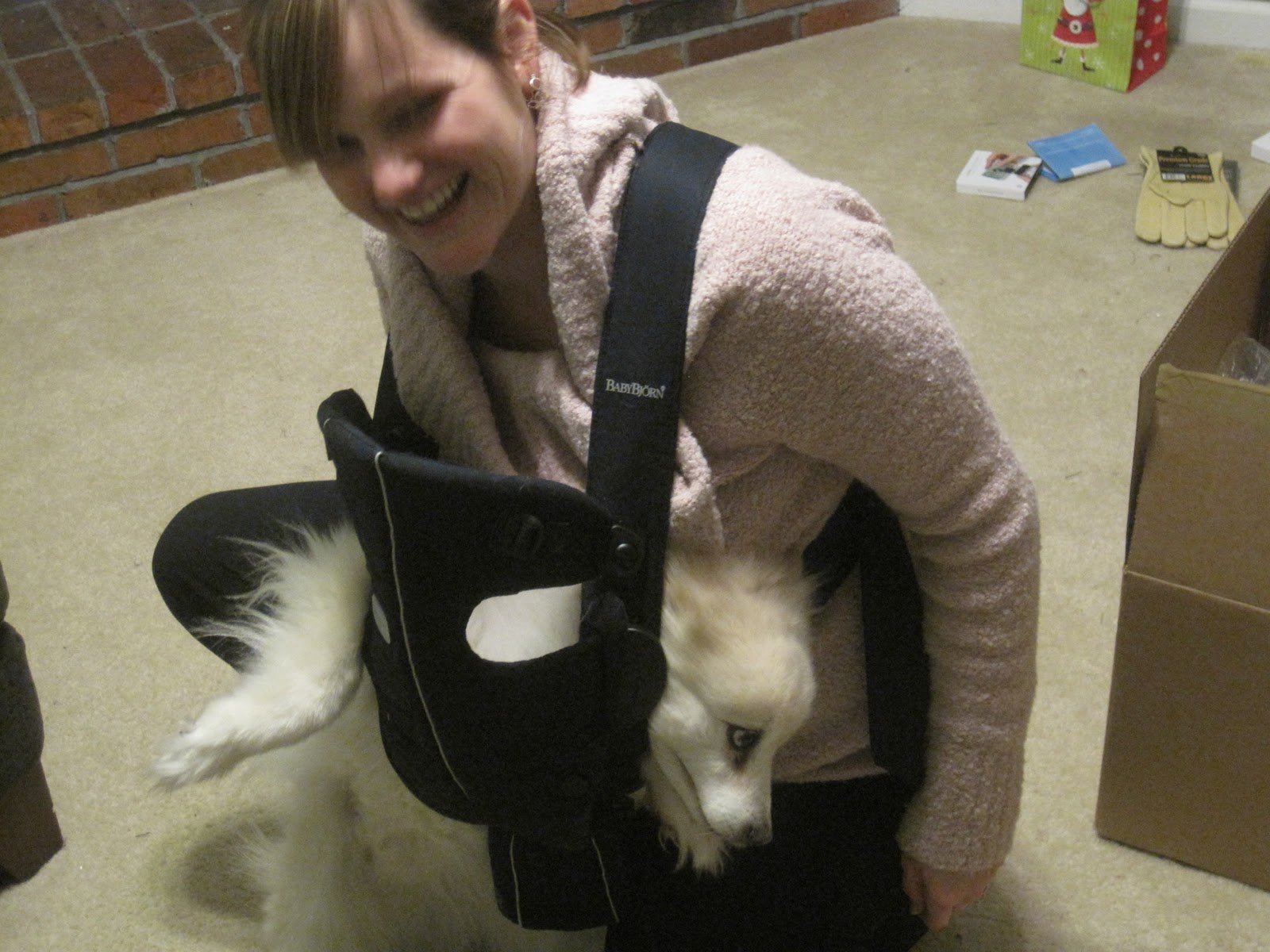 Let's See What Life's Gonna Hold Jax n the Baby Bjorn