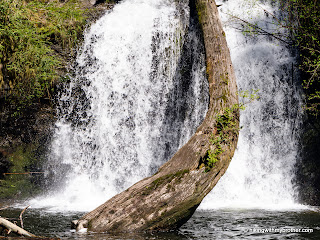 cherry creek falls marckworth forest hikingwithmybrother