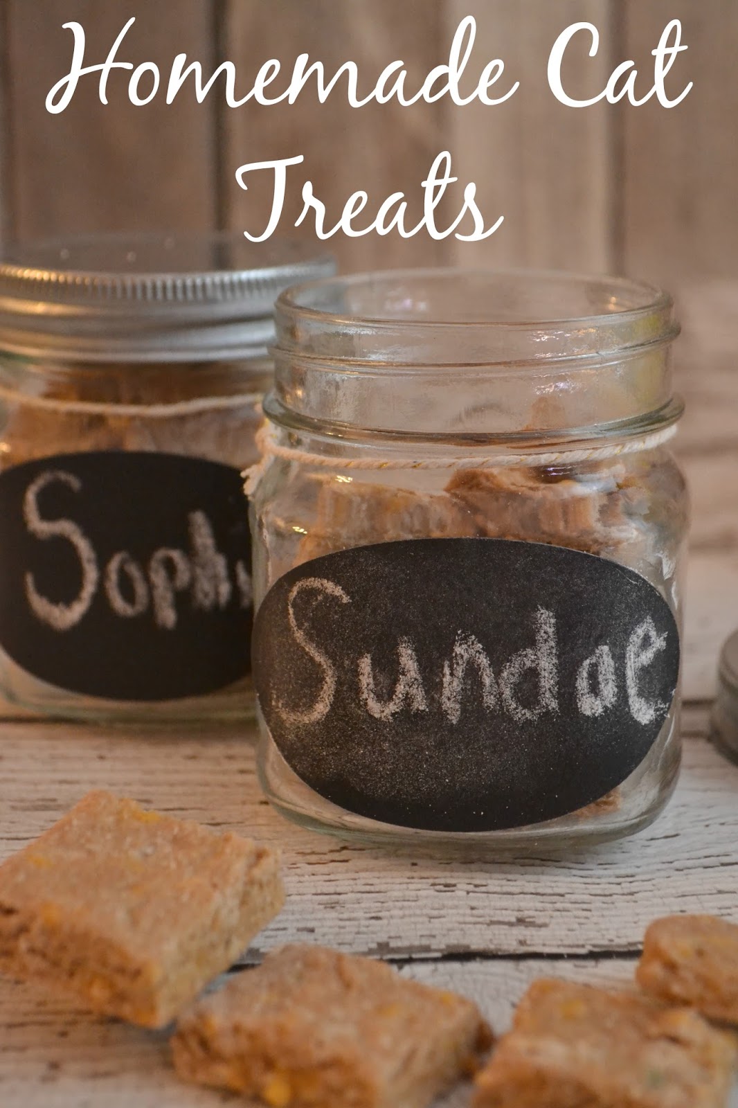 Easy homemade cat treats recipes Easy homemade cat treats recipes