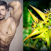 Boost Your Testosterone With Tribulus Terrestris To Maximize Muscle Growth