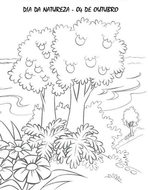 desenhos de natureza para imprimir