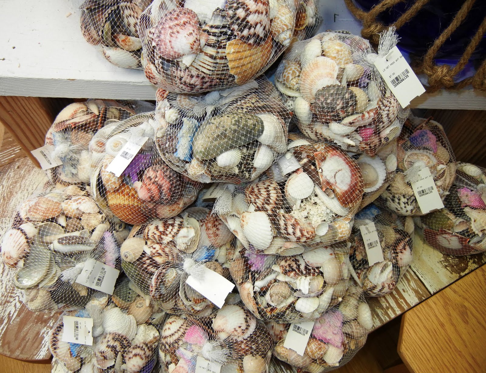 A photo, A thought............ Passion Joy of collecting seashells