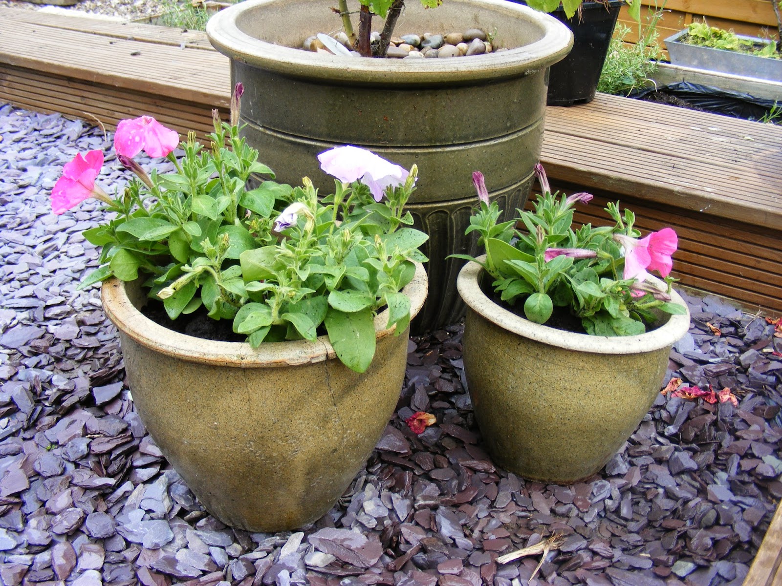 Sew, Create and Recycle: Gardening and Aldi Planters