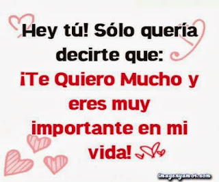 lindas frases de amor para mi novia lindas frases de amor para mi novio