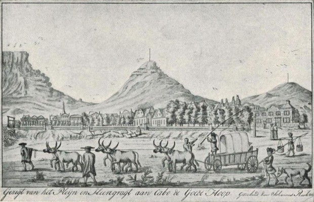 35 Ide Gambar Sketsa Kerbau Di Sawah - Tea And Lead