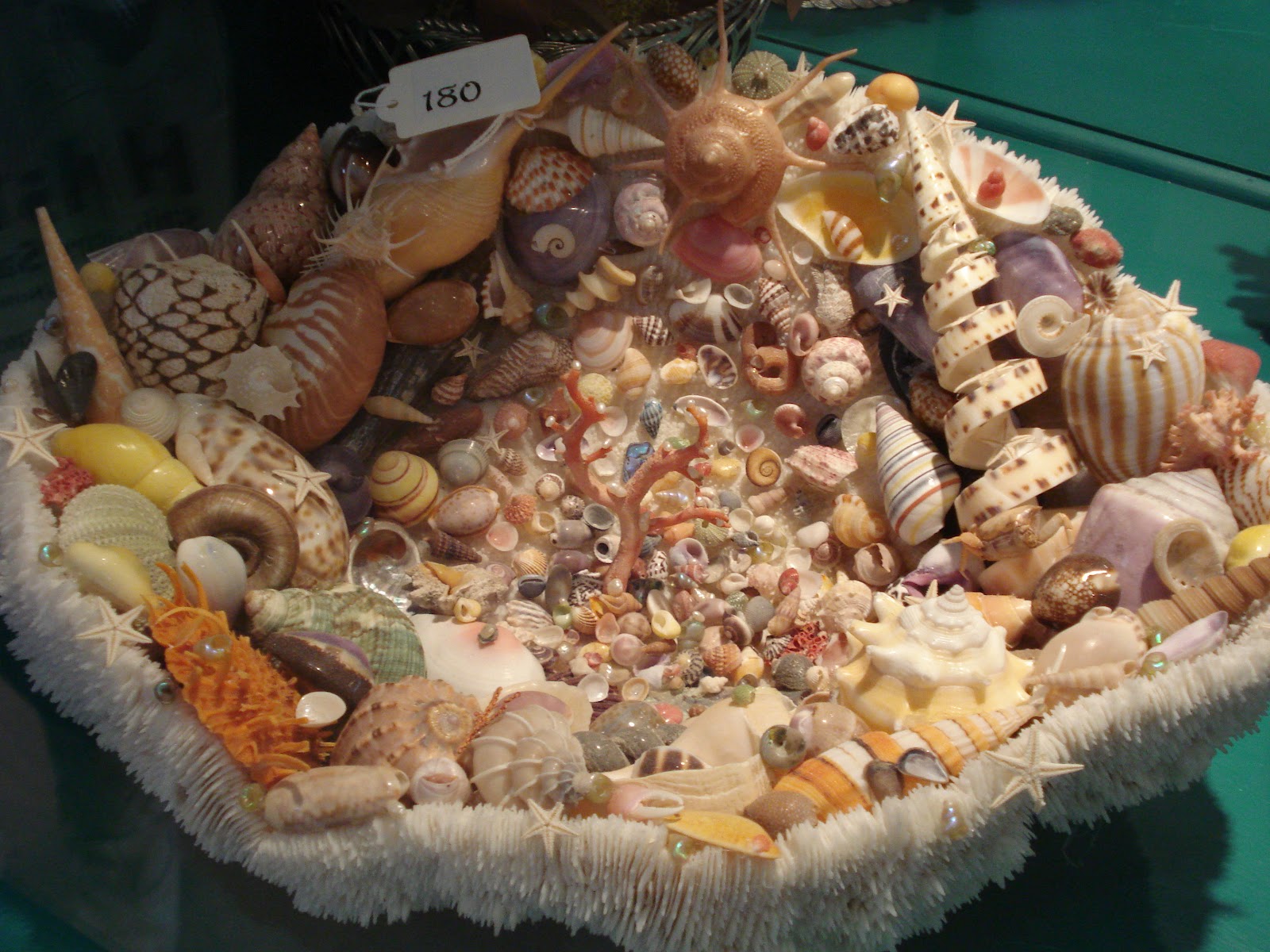 DrMattKerry's Blog: SHELLS! Eccentric Seaside Art
