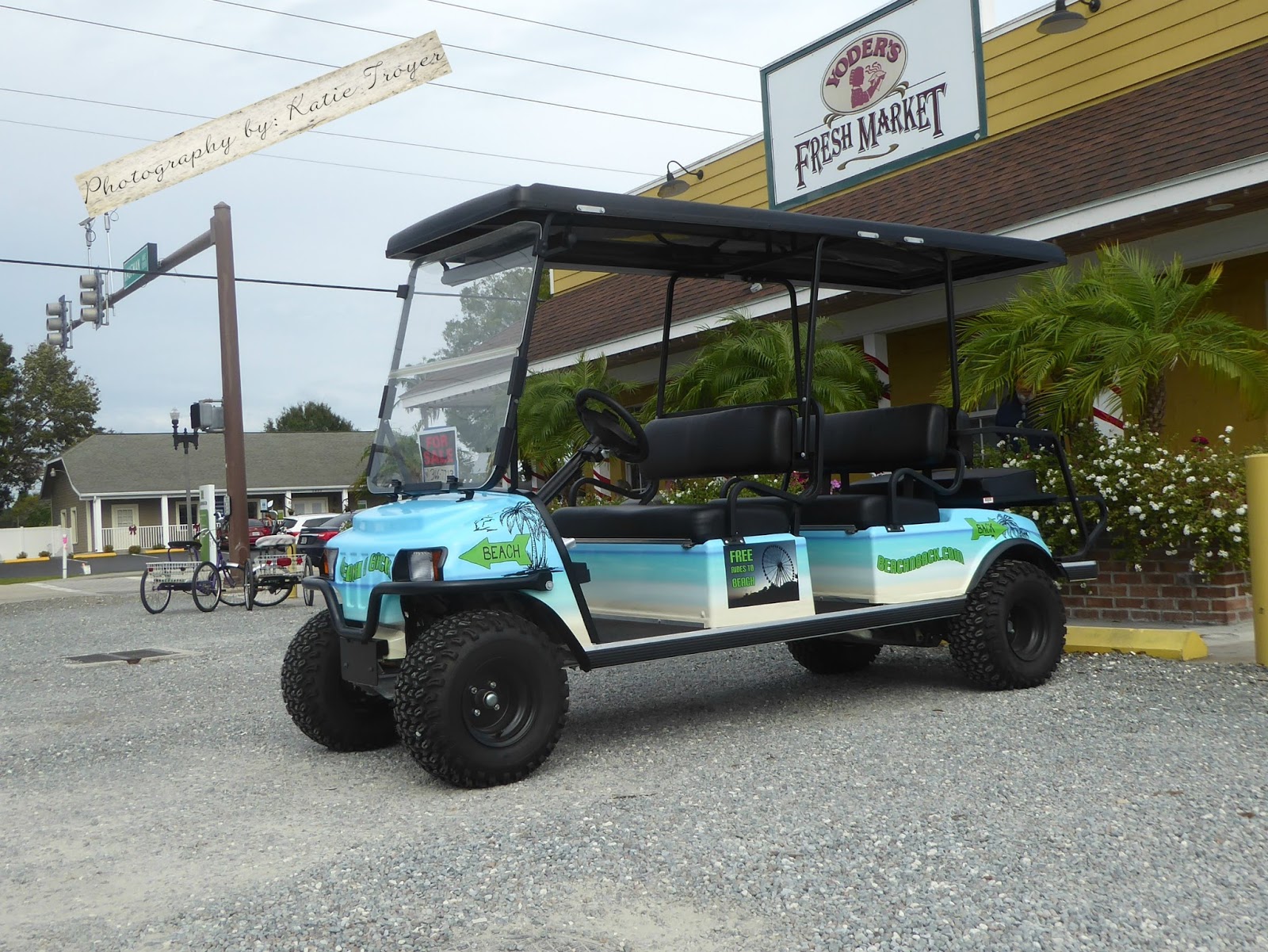 PinecraftSarasota Golf Cart "For Sale"