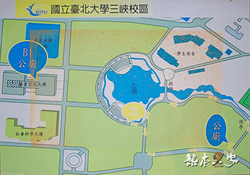 心湖櫻緣|三峽台北大學「心湖櫻花步道」-杜鵑、吉野櫻、木棉花齊綻放