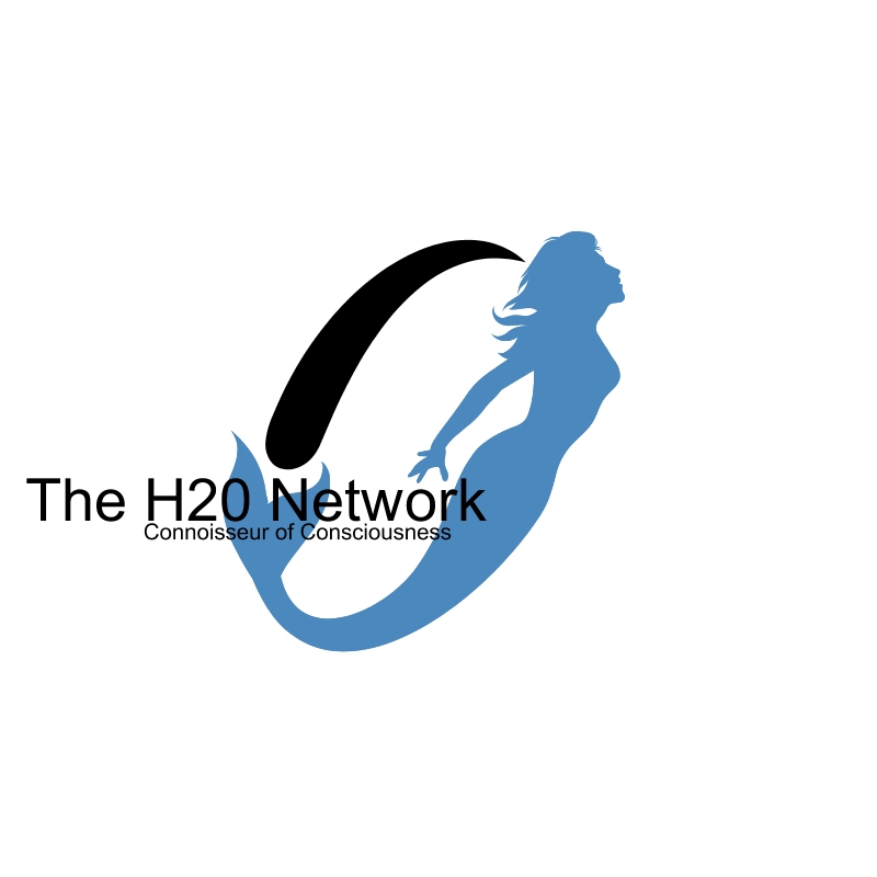 H2O NETWORK PROVIDER visual data 2