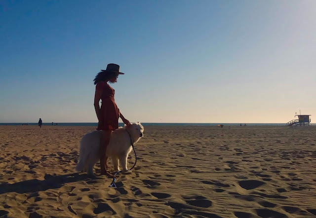 "Into The Wild" at the Venice Beach Drum Circle by Omar Cherif — 26 May 2018