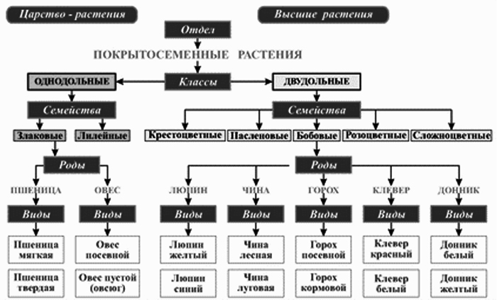 Тесты отделы растений - Telegraph
