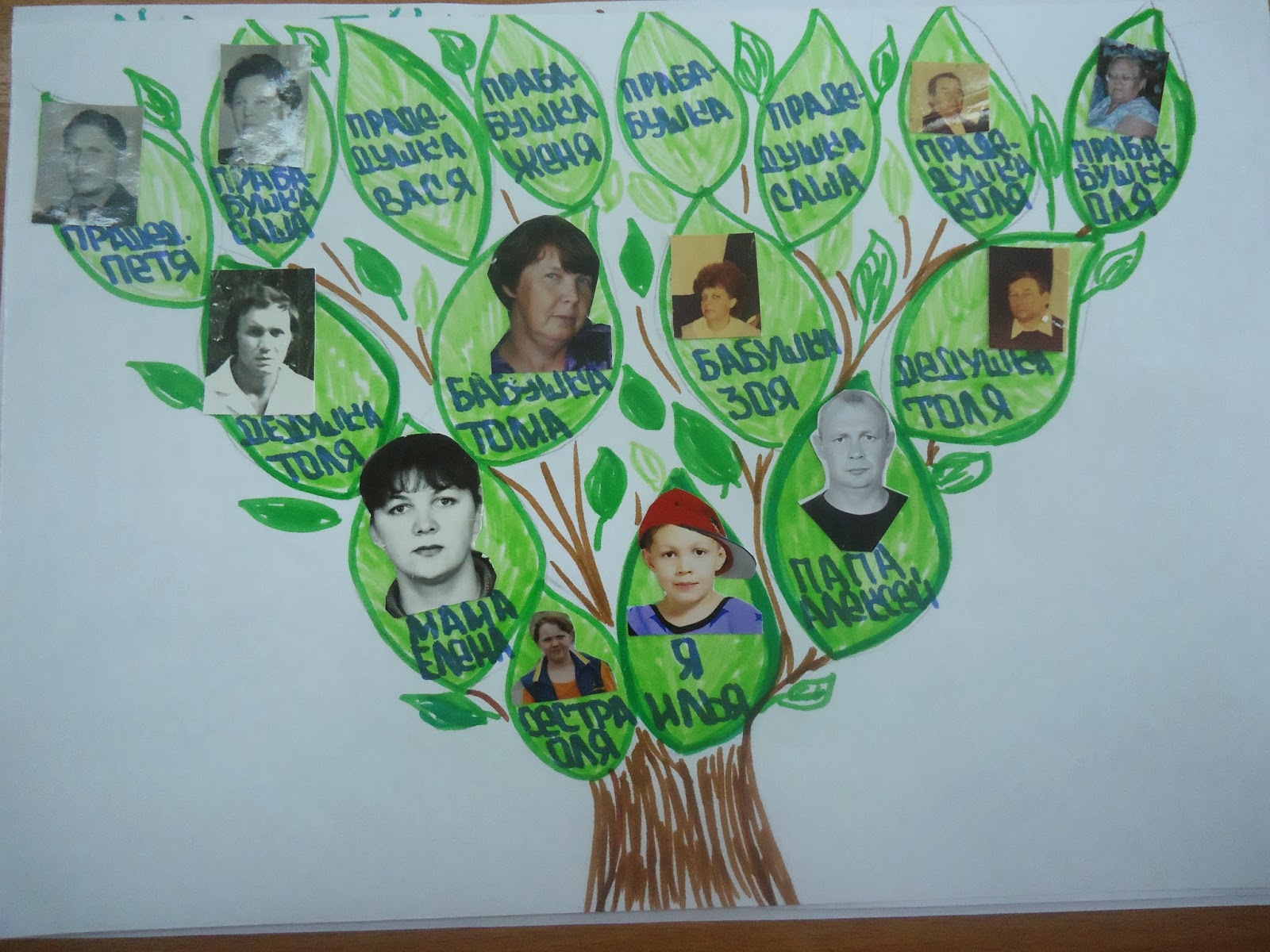 Генеалогическое дерево окружающий 2. Проект родословное дерево. Проект родословная. Проект генеалогическое дерево. Проект моя родословная.