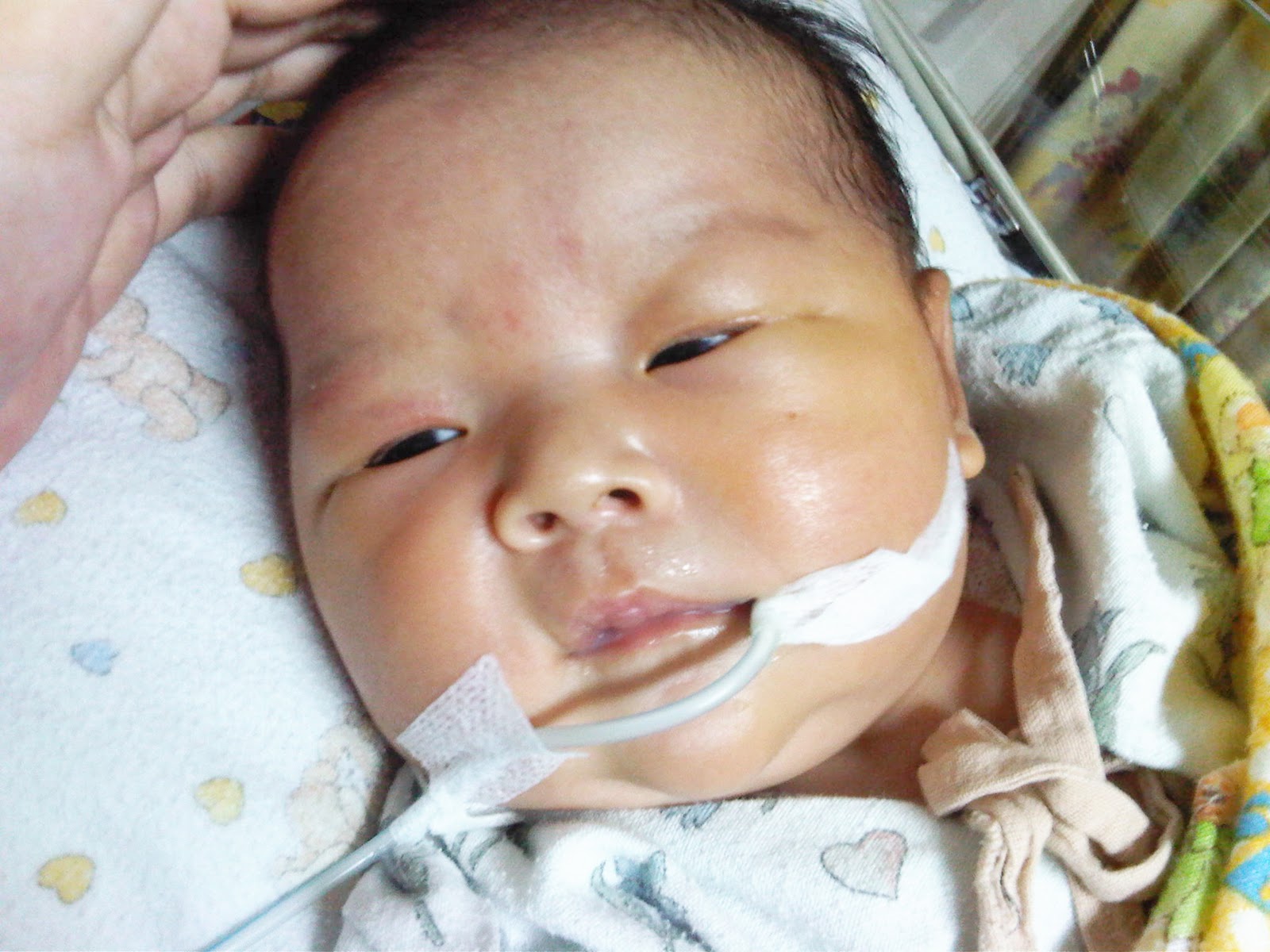 The Struggling Baby Jane All about Baby Jane