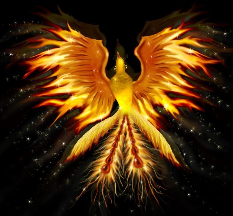 of symbol rebirth fire FeatheredLotus: Phoenix Alive